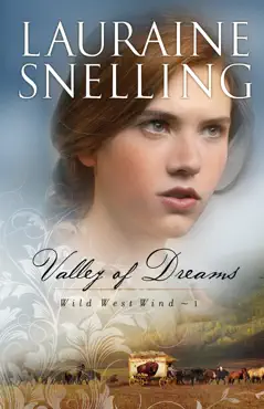 valley of dreams book cover image