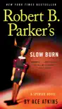 Robert B. Parker's Slow Burn sinopsis y comentarios