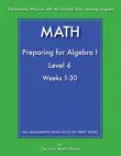 Mathematics - Preparing for Algebra I - Level 6 synopsis, comments