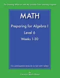 Mathematics - Preparing for Algebra I - Level 6