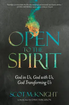 open to the spirit book cover image