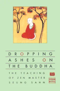 dropping ashes on the buddha book cover image
