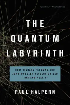 the quantum labyrinth book cover image