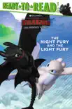 The Night Fury and the Light Fury sinopsis y comentarios