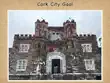 Cork City Gaol synopsis, comments
