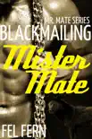 Blackmailing Mister Mate synopsis, comments