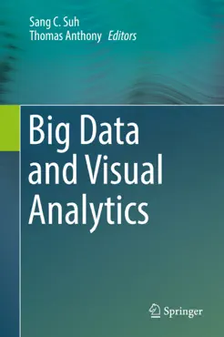 big data and visual analytics book cover image