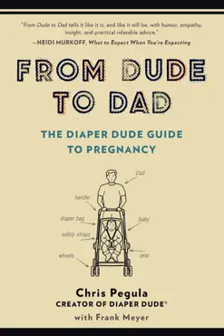 from dude to dad book cover image