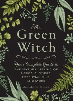 the green witch book cover image