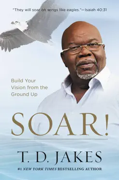 soar! book cover image