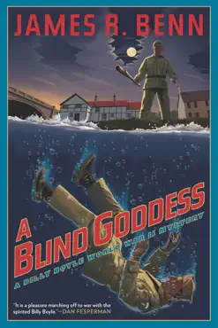 a blind goddess book cover image