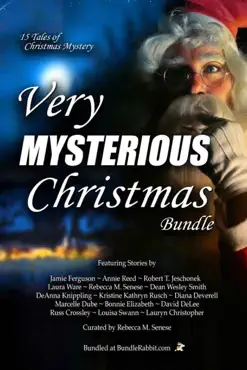 very mysterious christmas bundle book cover image