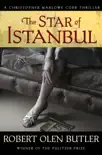 The Star of Istanbul synopsis, comments
