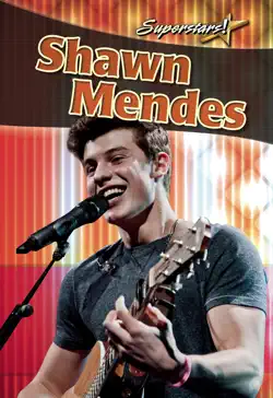 shawn mendes book cover image