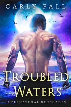 troubled waters book cover image