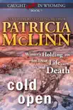 Cold Open (Caught Dead in Wyoming mystery series, Book 7) sinopsis y comentarios