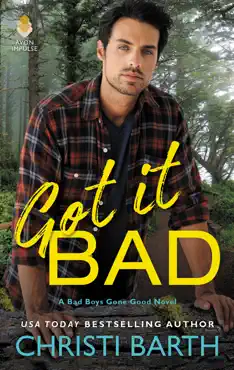 got it bad book cover image