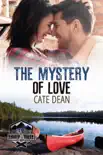 The Mystery of Love synopsis, comments