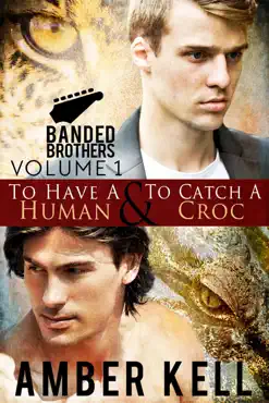 banded brothers, volume 1 book cover image