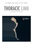 Thoracic Limb synopsis, comments