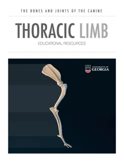 thoracic limb book cover image