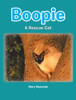 boopie book cover image