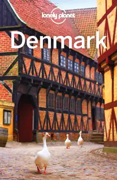 denmark travel guide book cover image