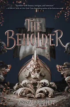 the beholder book cover image