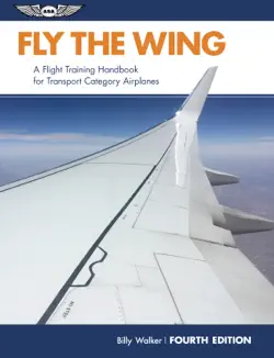 fly the wing book cover image