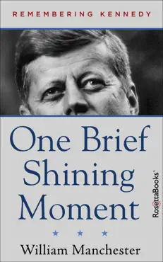 one brief shining moment book cover image