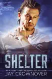 Shelter synopsis, comments