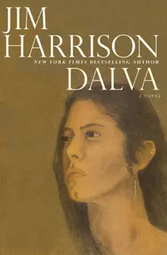 dalva book cover image