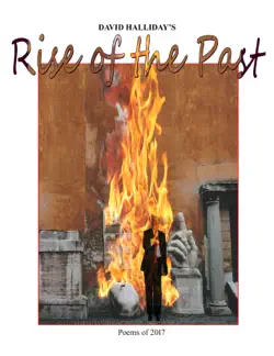 rise of the past book cover image