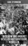 Busekow und andere gesellschaftskritische Novellen synopsis, comments
