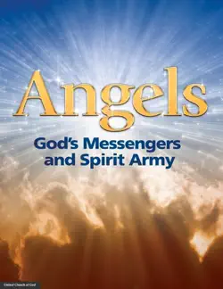 angels book cover image
