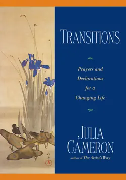 transitions book cover image