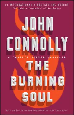 the burning soul book cover image