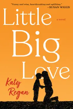 little big love book cover image