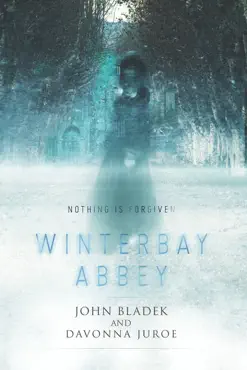 winterbay abbey book cover image
