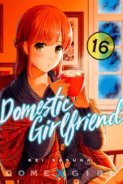 domestic girlfriend volume 16 book cover image