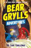 A Bear Grylls Adventure 9: The Cave Challenge sinopsis y comentarios