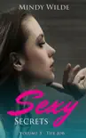 The Job (Sexy Secrets Vol. 3) sinopsis y comentarios