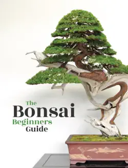 bonsai book cover image