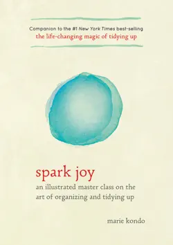spark joy book cover image