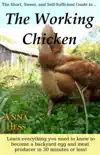 The Working Chicken reviews