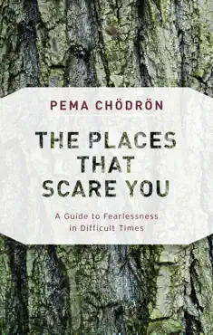 the places that scare you book cover image