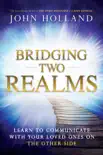 Bridging Two Realms synopsis, comments