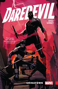 daredevil book cover image