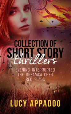 collection of short story thrillers evening interrupted the dreamcatcher red flags book cover image