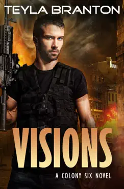 visions book cover image